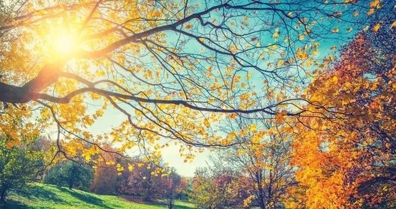 Ekinoks gece gündüz eşitliği ne zaman hangi gün? Ekinoks takvimi