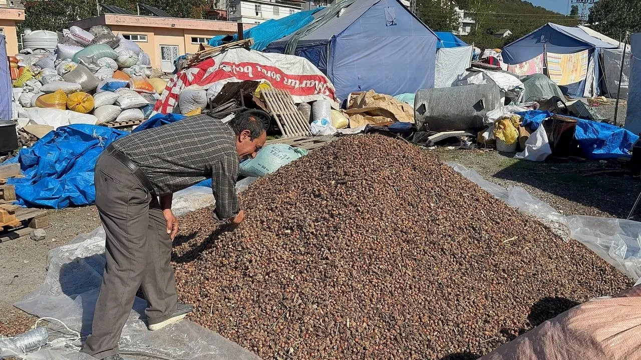 Köy köy dolaşıp topluyorlar! Çuval çuval satıyorlar: Boşu bile para ediyor