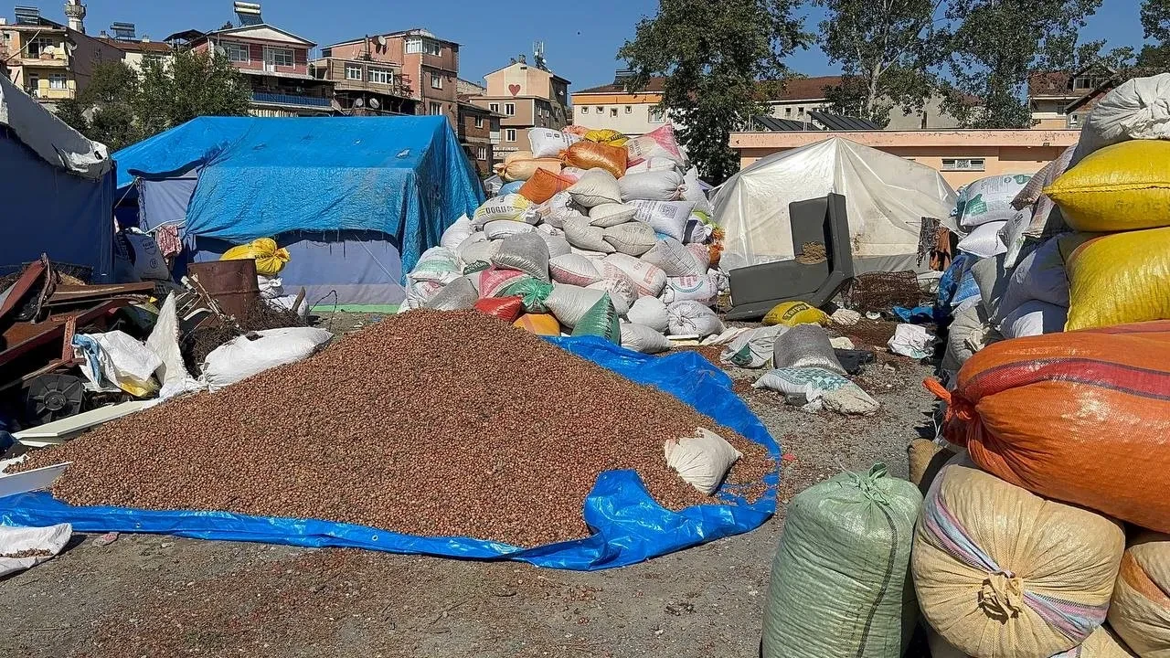 Köy köy dolaşıp topluyorlar! Çuval çuval satıyorlar: Boşu bile para ediyor