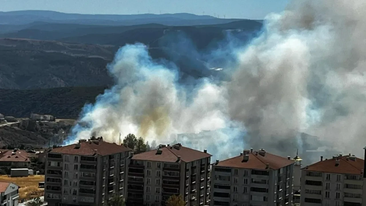 Salça yaparken 30 dönüm maki kül oldu!