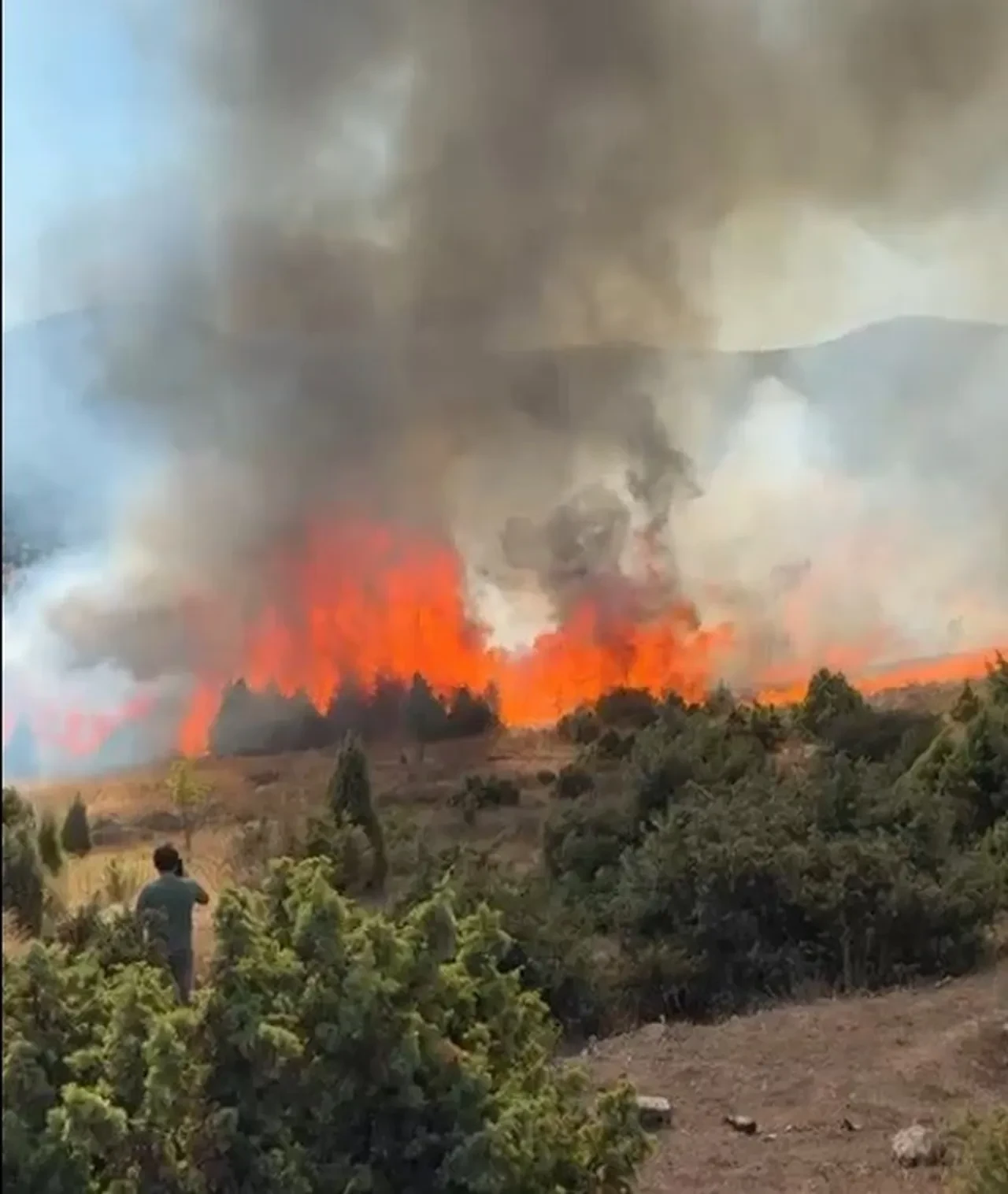 Salça yaparken 30 dönüm maki kül oldu!