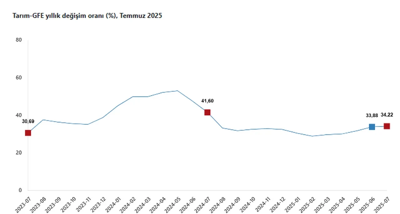 Tarımsal girdi fiyatları temmuz ayında yükseldi