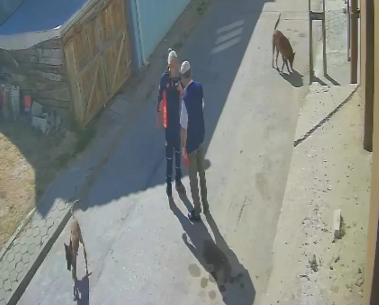 Yaşlı adama sokak ortasında dayak! "Köpeklerimi sen mi şikayet ettin" diyerek acımasızca dövdü