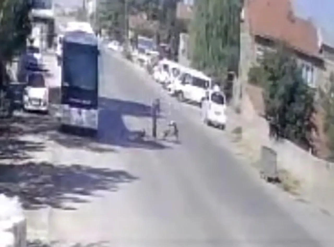 Yaşlı adama sokak ortasında dayak! "Köpeklerimi sen mi şikayet ettin" diyerek acımasızca dövdü