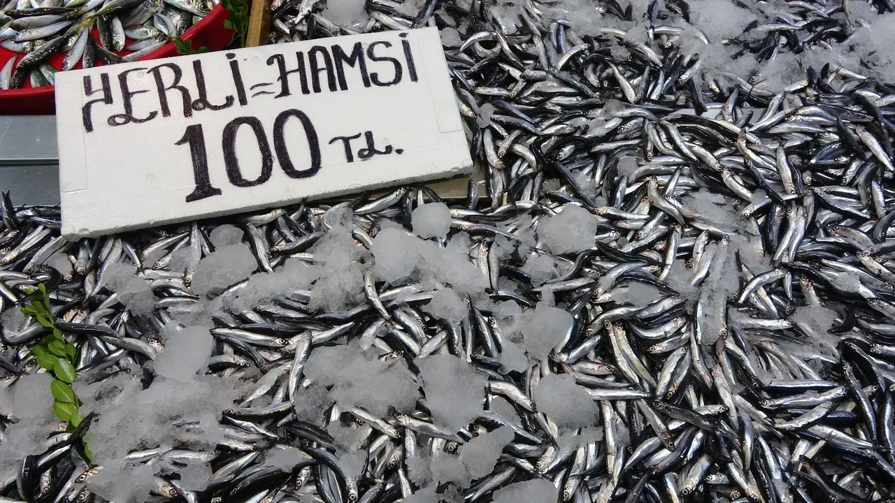 Hamside bu yıl yüzler gülüyor! İşte son fiyatlar