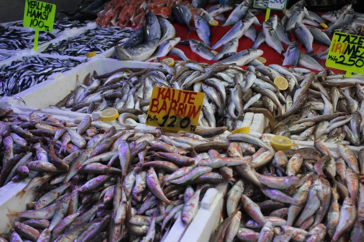 Hamside bu yıl yüzler gülüyor! İşte son fiyatlar