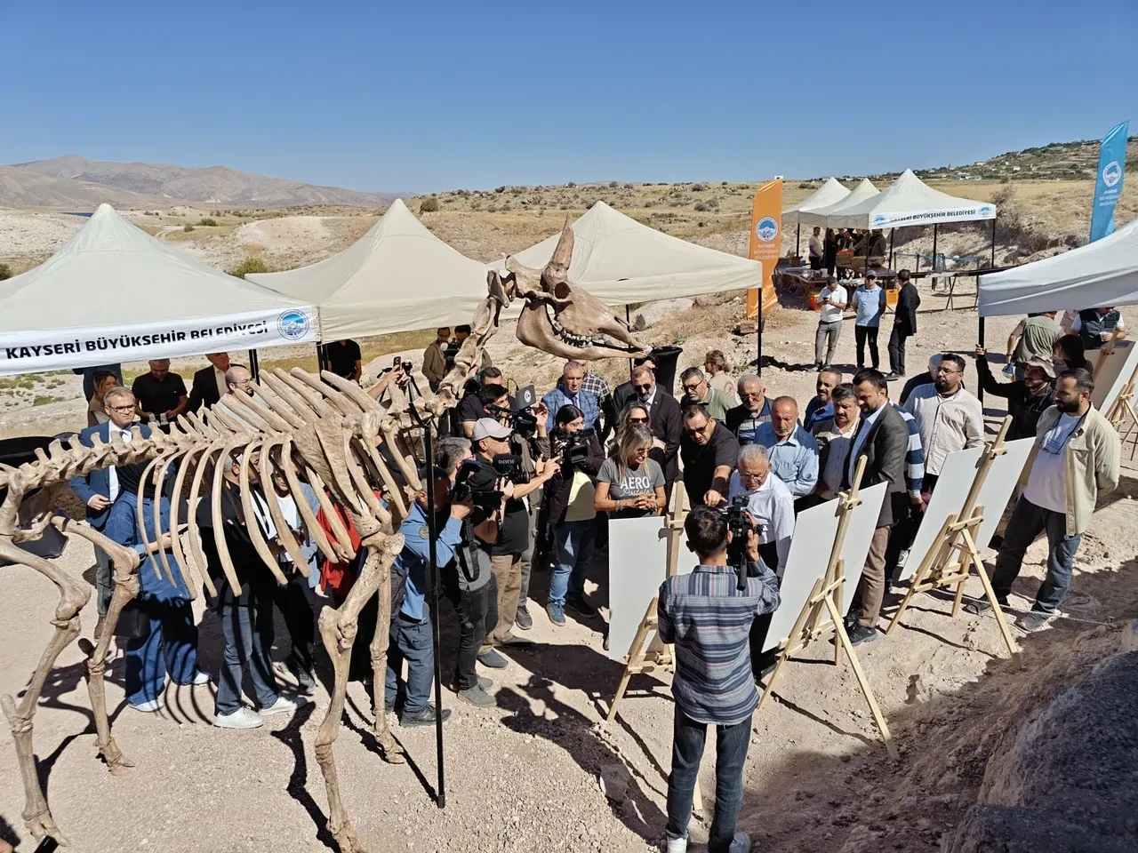 Türkiye'de bulundu, dünyada sayılı! 7,7 milyon yıllık tarih gün yüzüne çıkıyor: Yeni tür olabilir