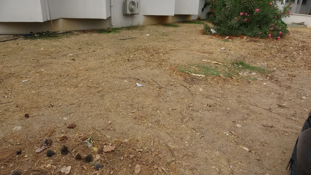 Türkiye’de ilk olacak! Yaklaşık 16 metre: İskelet, kafa bölgesinden başlayarak sırasıyla çıkarılacak