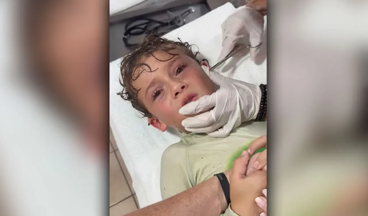 Yeni korku yüklendi: Çocuğun kulağından canlı yengeç çıktı!