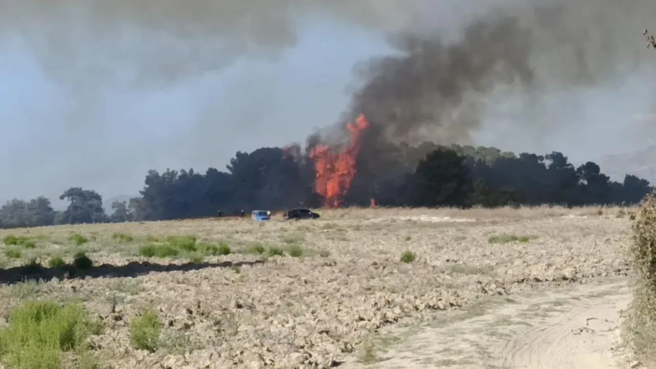 Antalya'da korkutan yangın