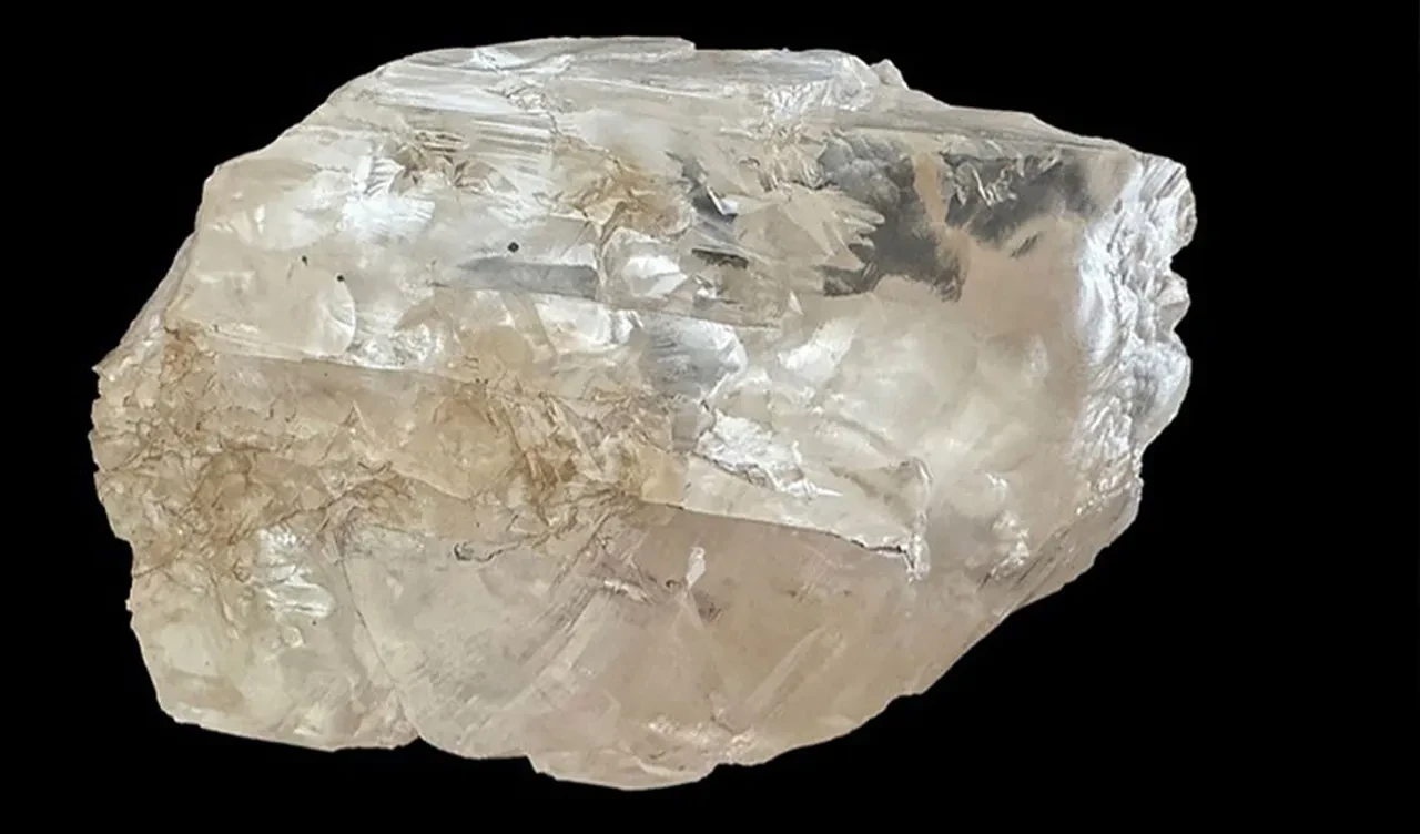 Dünyanın en büyük elması piyasaları salladı! Biçilen fiyat dudak uçuklattı