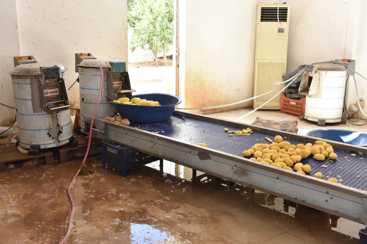 Gıda sahtekarlarına baskın! Mide bulandıran görüntüler: 1.5 ton imha edildi