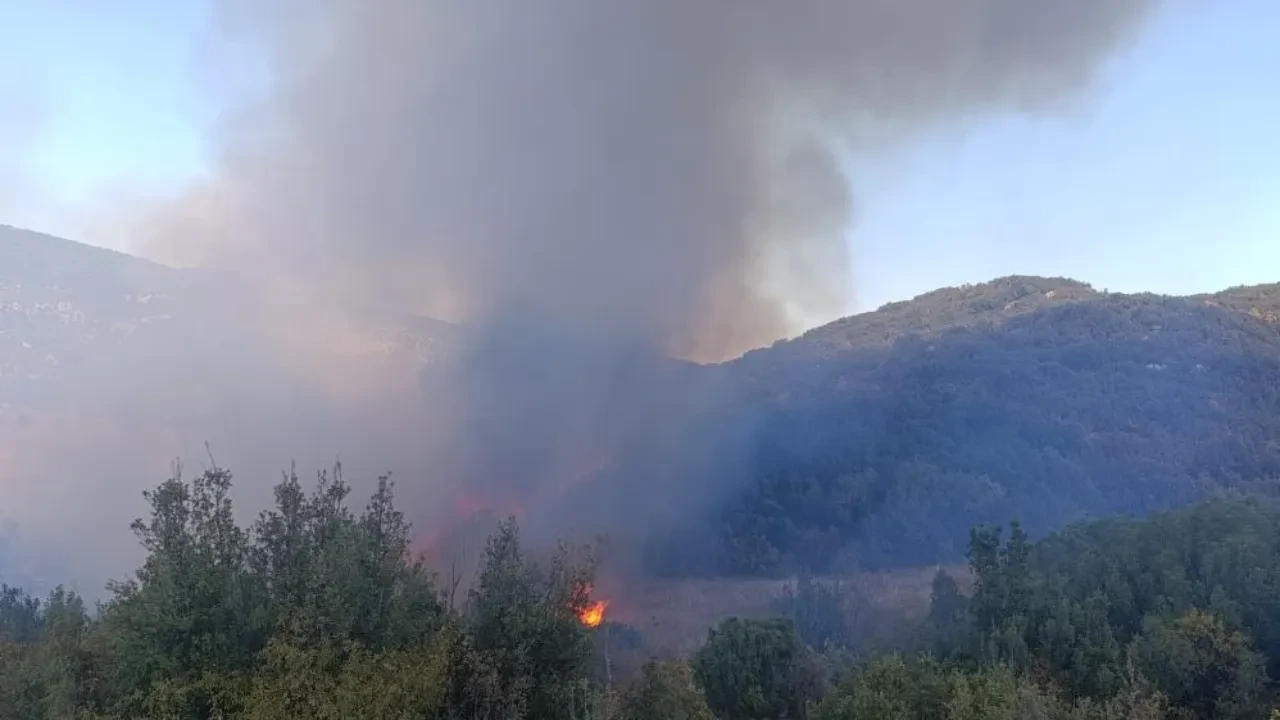 Burdur'da orman yangını! Tarladan yükselen alevler ormana sıçradı