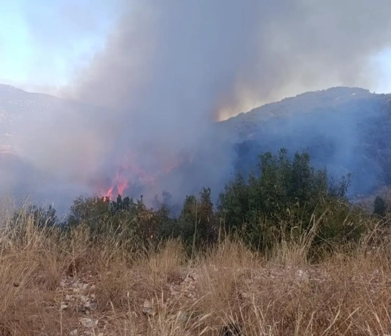 Burdur'da orman yangını! Tarladan yükselen alevler ormana sıçradı