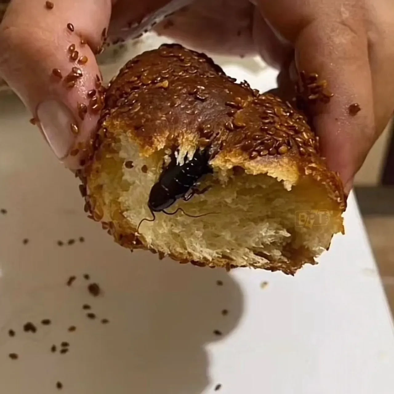 Isırdığı poğaçanın içinden hamam böceği çıktı: Midesi hassas olanlar bakmasın