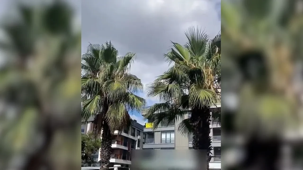 İstanbul'da satılık evin fiyatını duyan vatandaş şoke oldu! Aradığına pişman oldu