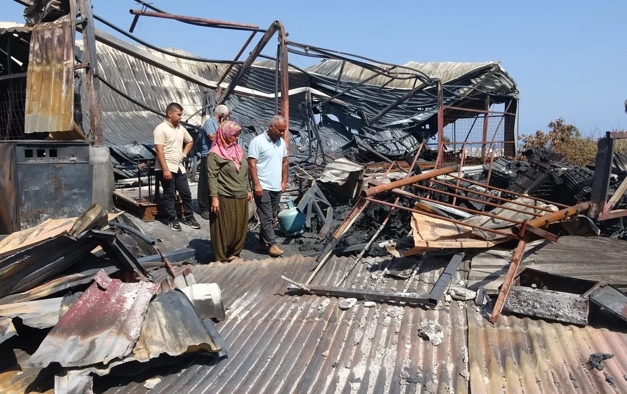 Kundakçı komşu yüzünden düğünleri zehir oldu! Herkes el ele verdi: Çift mutlu sona ulaştı