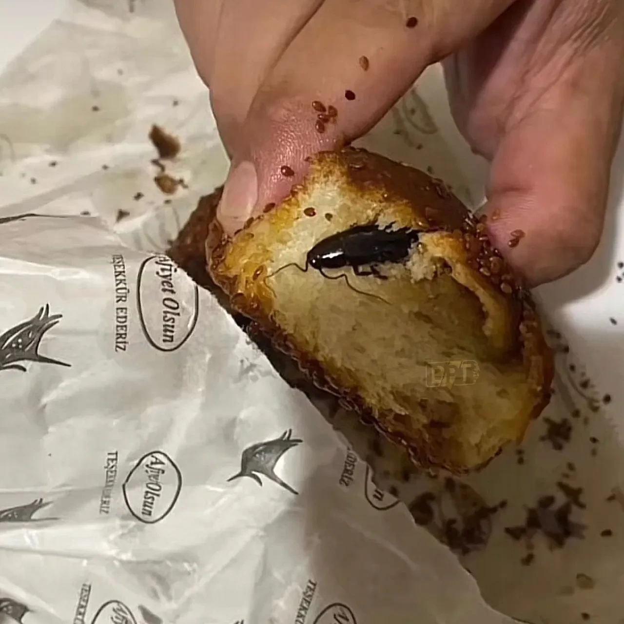 Isırdığı poğaçanın içinden hamam böceği çıktı: Midesi hassas olanlar bakmasın