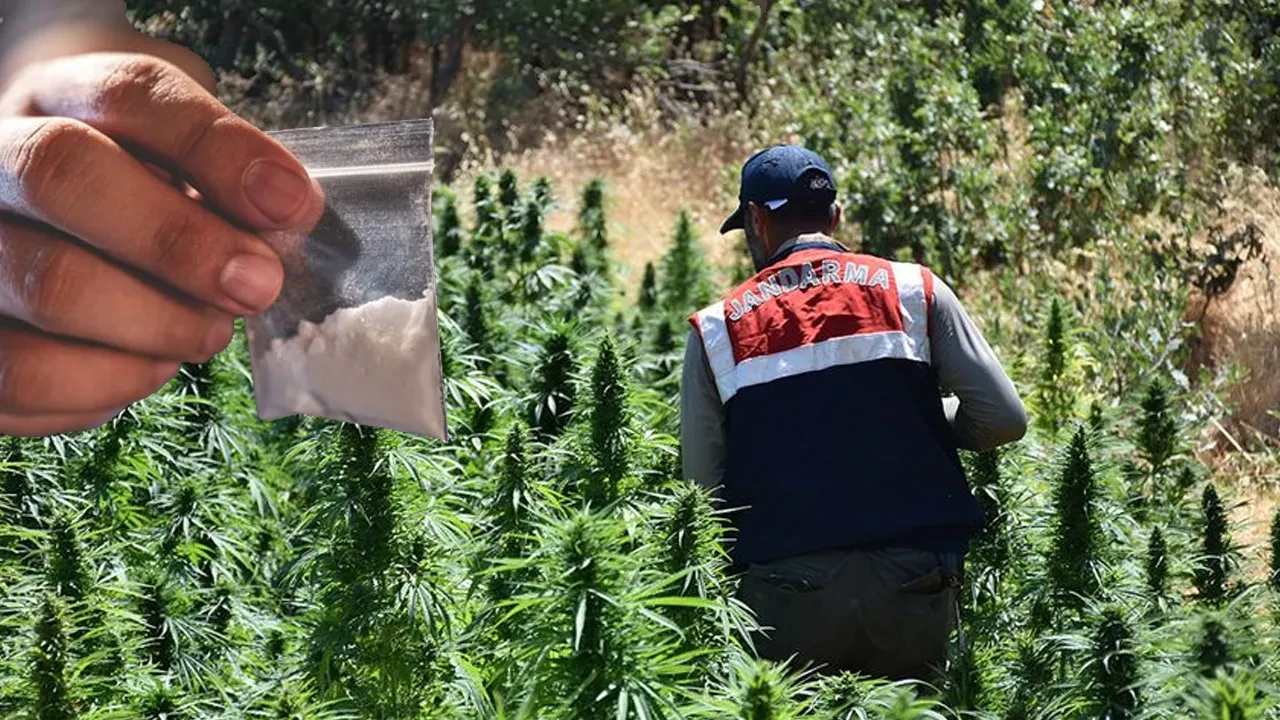Şırnak'ta dev uyuşturucu operasyonu! Değeri neredeyse il ekonomisini geçiyor