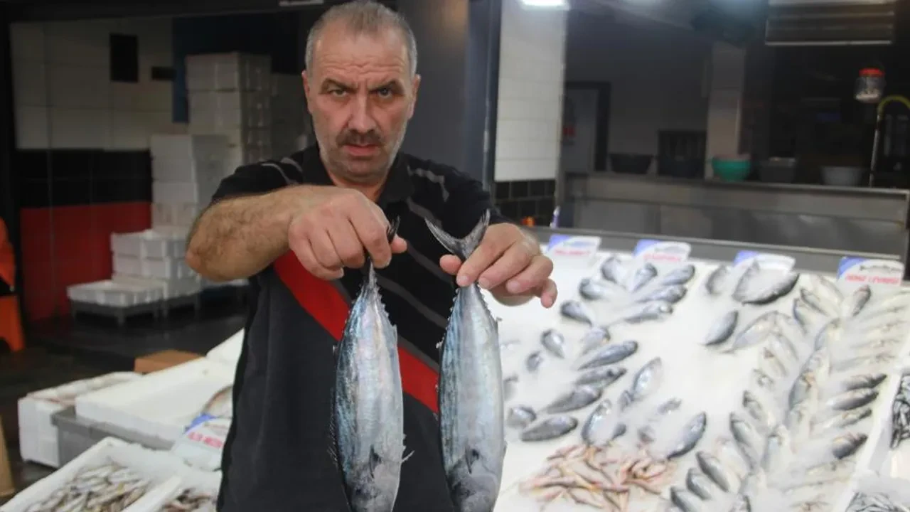 Balık tezgahlarında ters bir durum var! Palamut ve hamsi detayı: İşte fiyatlar