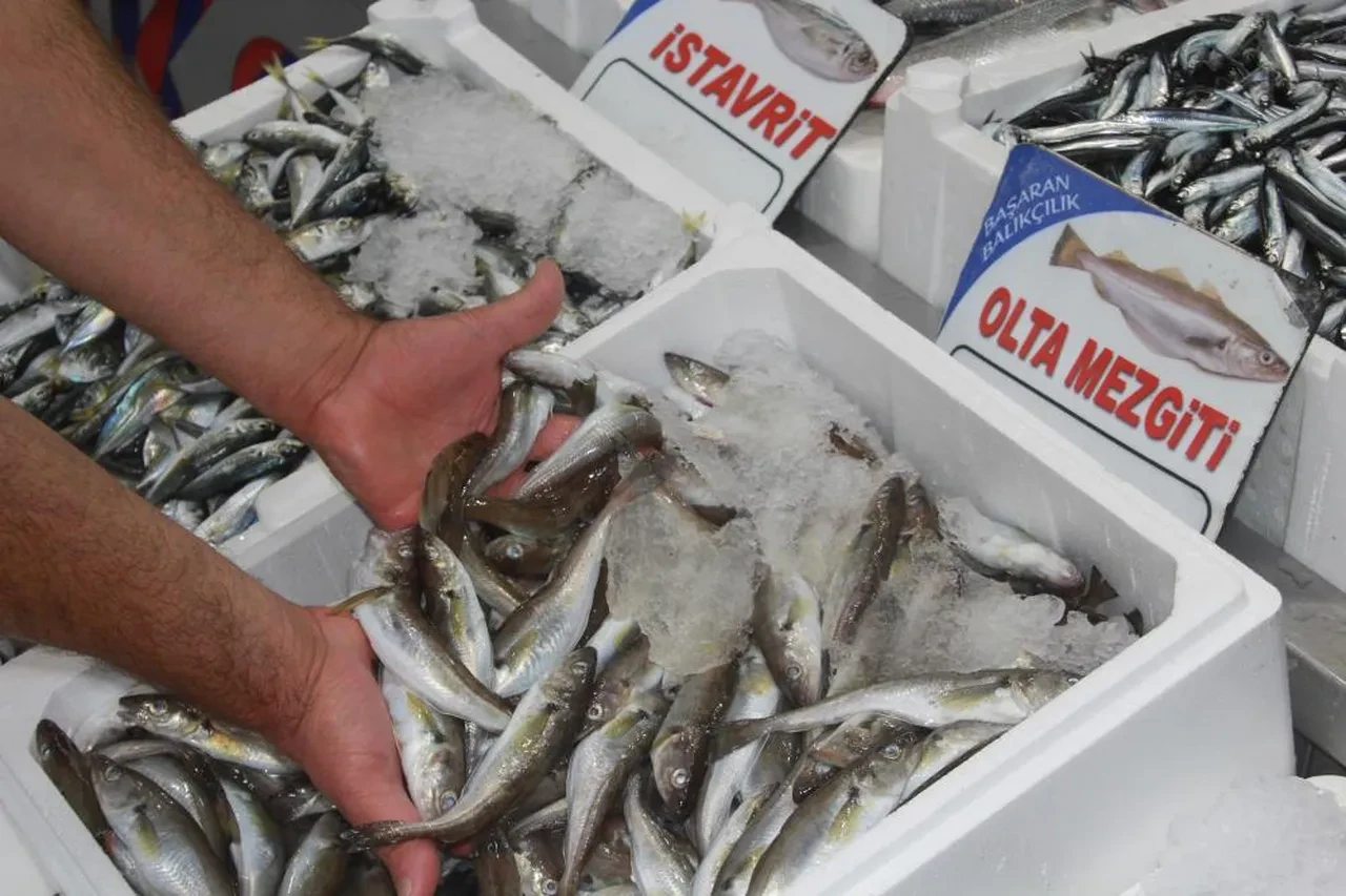Balık tezgahlarında ters bir durum var! Palamut ve hamsi detayı: İşte fiyatlar