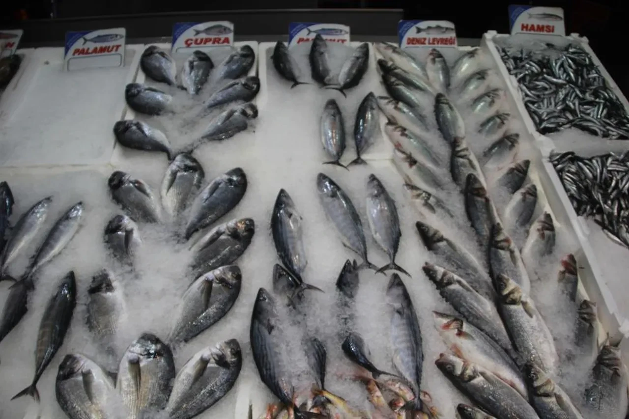Balık tezgahlarında ters bir durum var! Palamut ve hamsi detayı: İşte fiyatlar