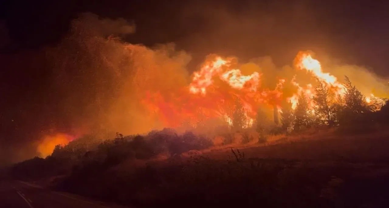 Bursa Karacabey'de korkutan yangın! Evler tahliye edildi, yol trafiğe kapatıldı