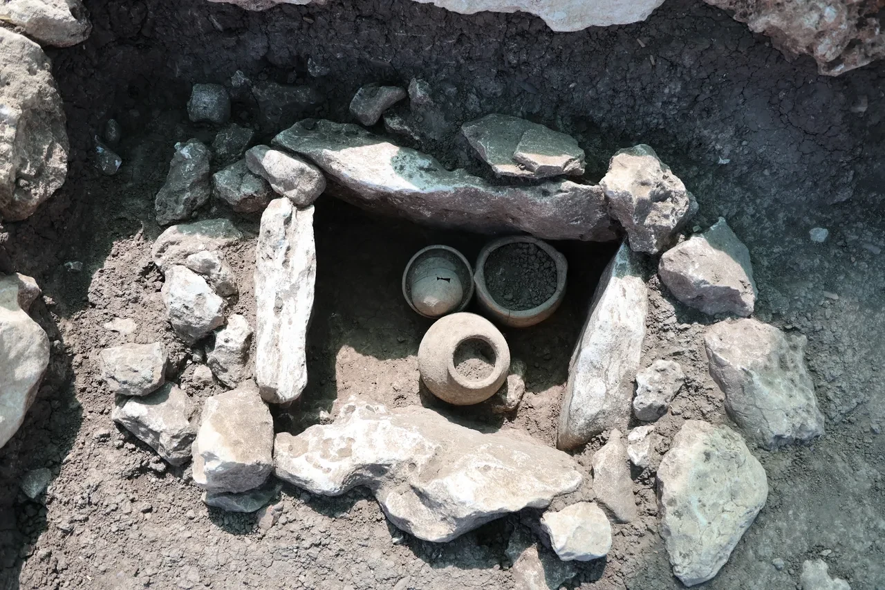 Dünya uygarlık tarihine ışık tutacak keşif! Diyarbakır'da gün yüzüne çıkarıldı: Tam 11 bin yıllık