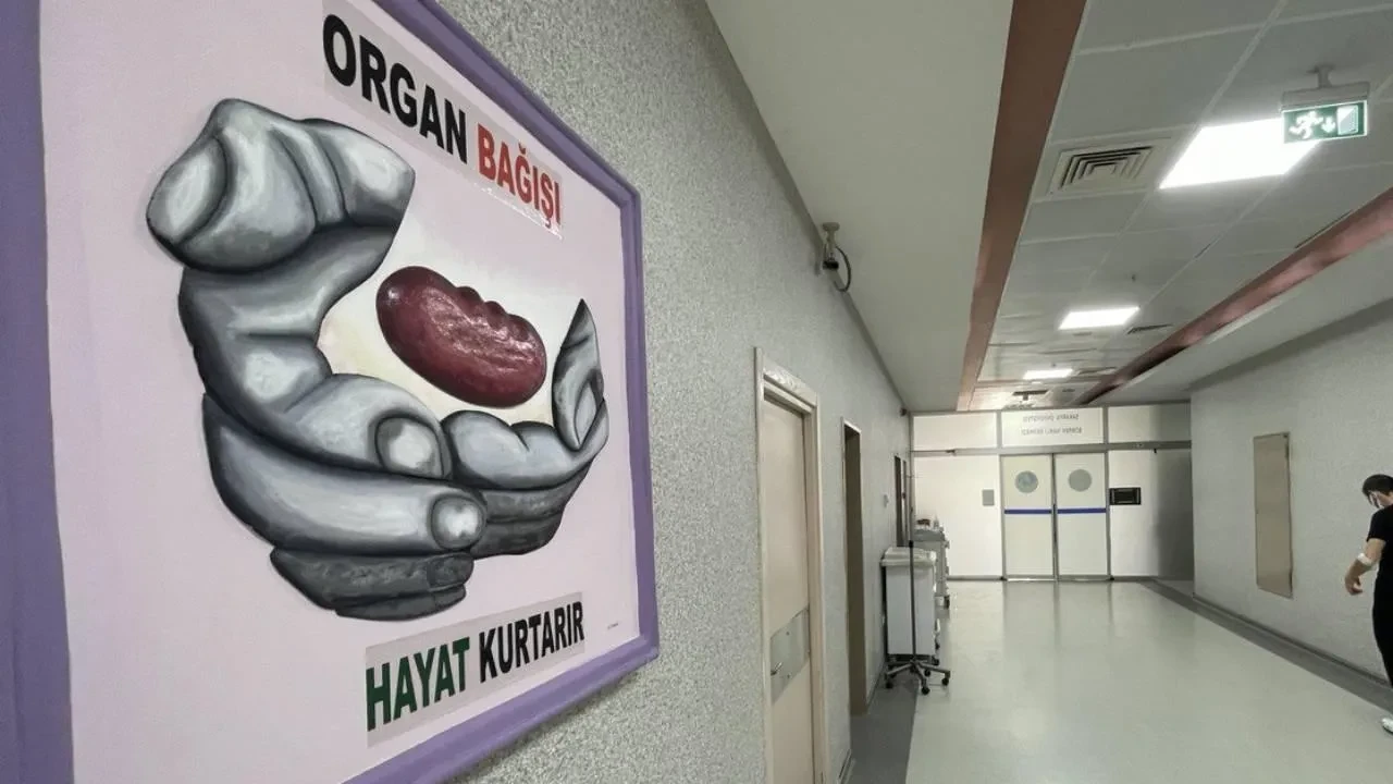 Organ naklinde yeni dönem başlıyor! Bağışçılara öncelik hakkı 