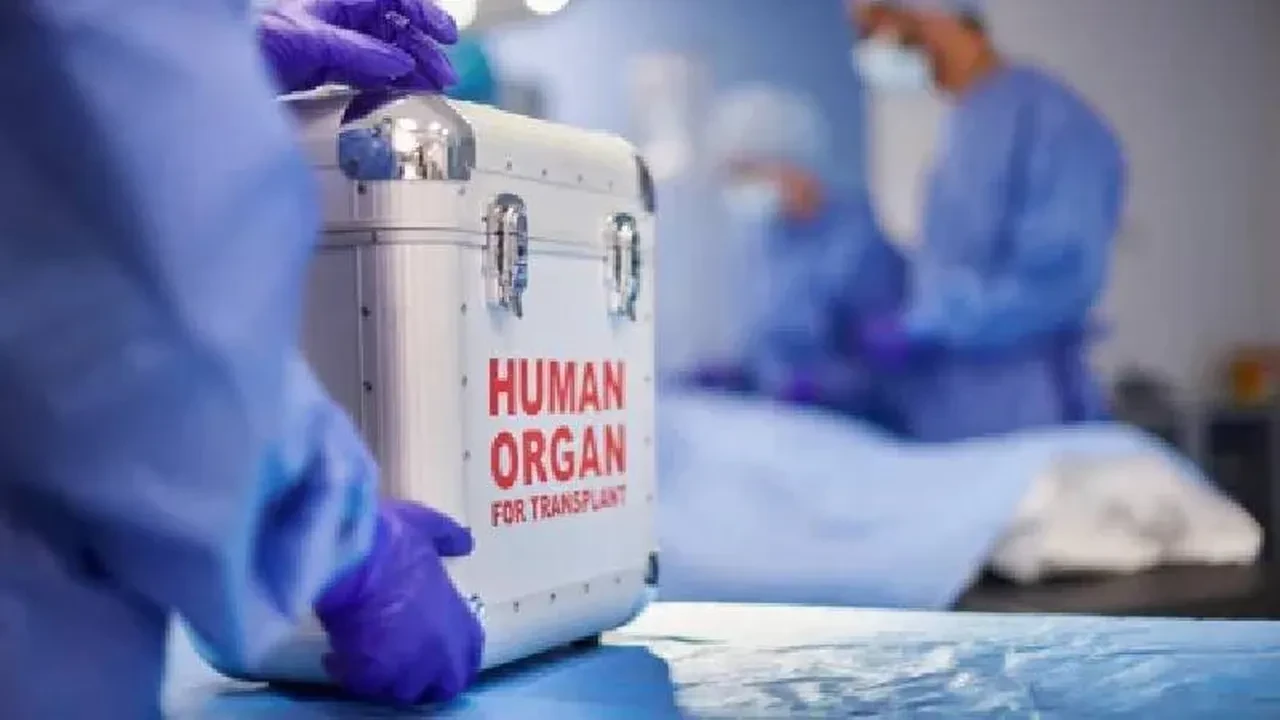 Organ naklinde yeni dönem başlıyor! Bağışçılara öncelik hakkı 