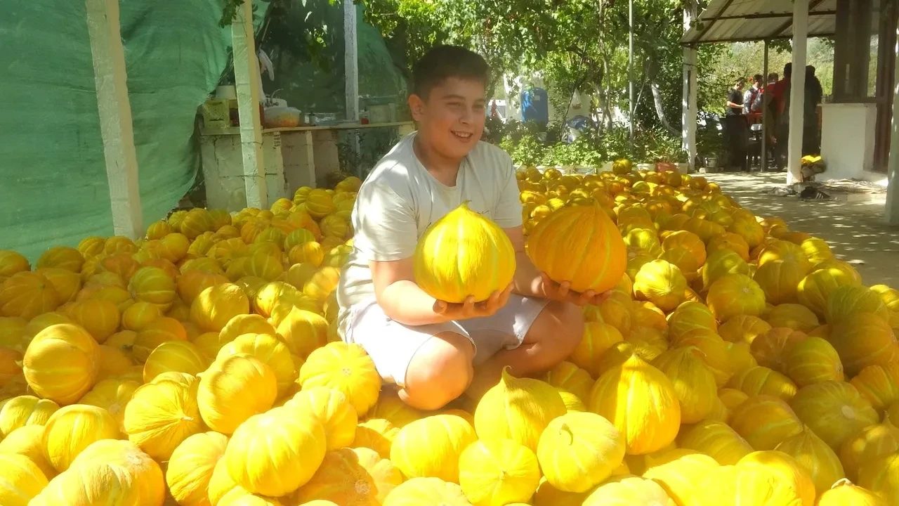 Ata tohumundan gelen miras: Yayla kavunu