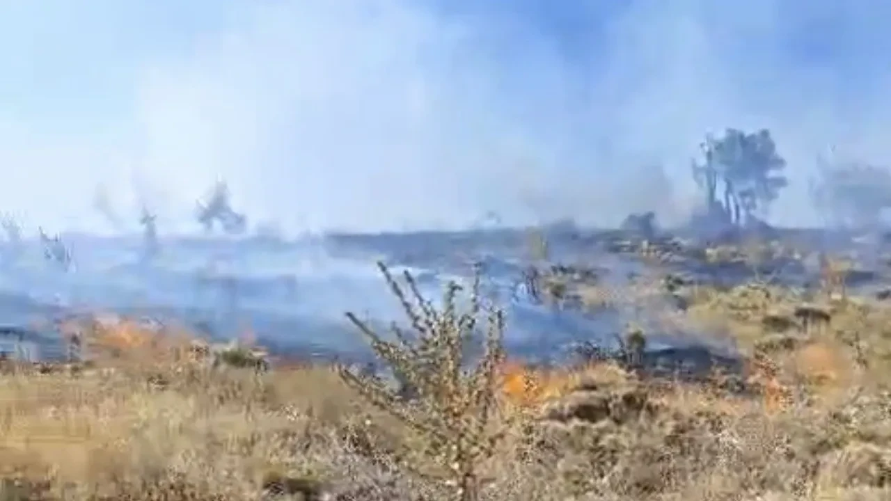Çıkan yangında nene ve torun hayatını kaybetti! Mersin'de dehşet anları