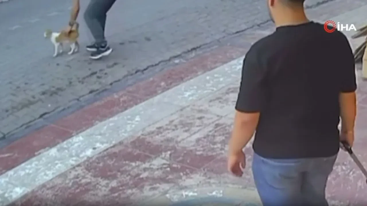 Güvenlik görevlisi nefes borusuna yiyecek kaçan kediyi Heimlich manevrasıyla kurtardı