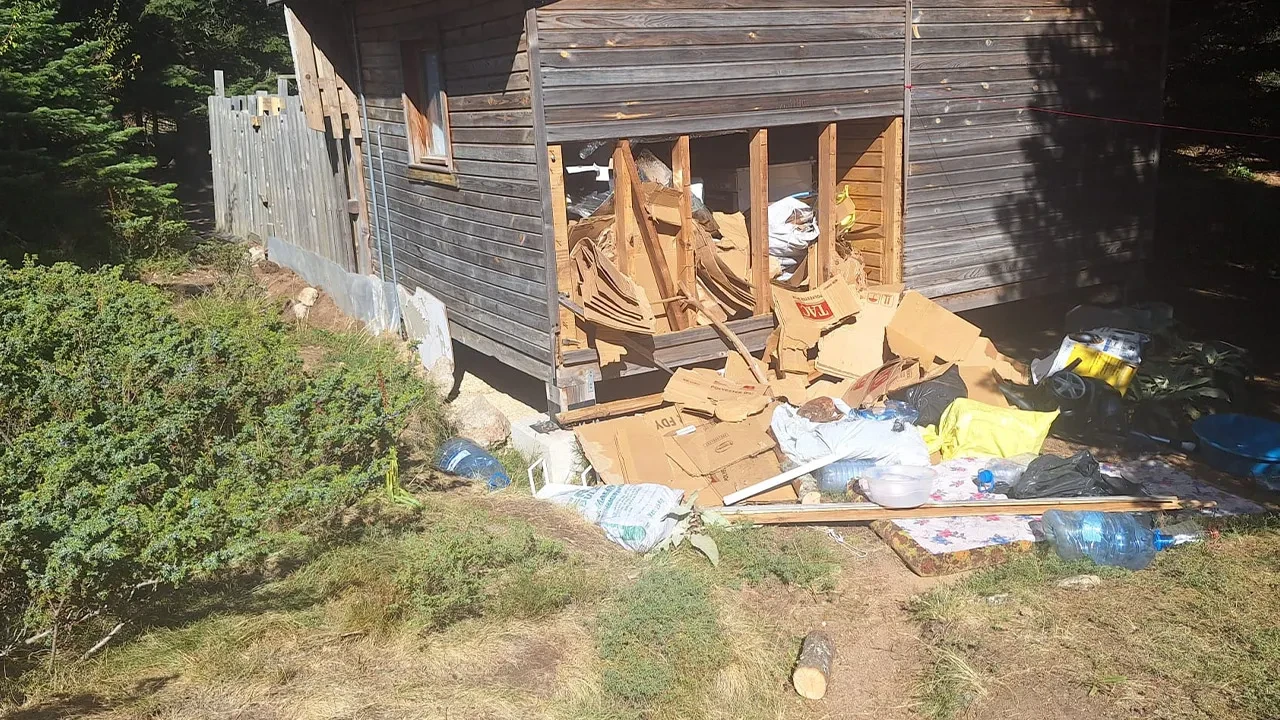 Uludağ'da ayı girdiği barakayı dağıttı