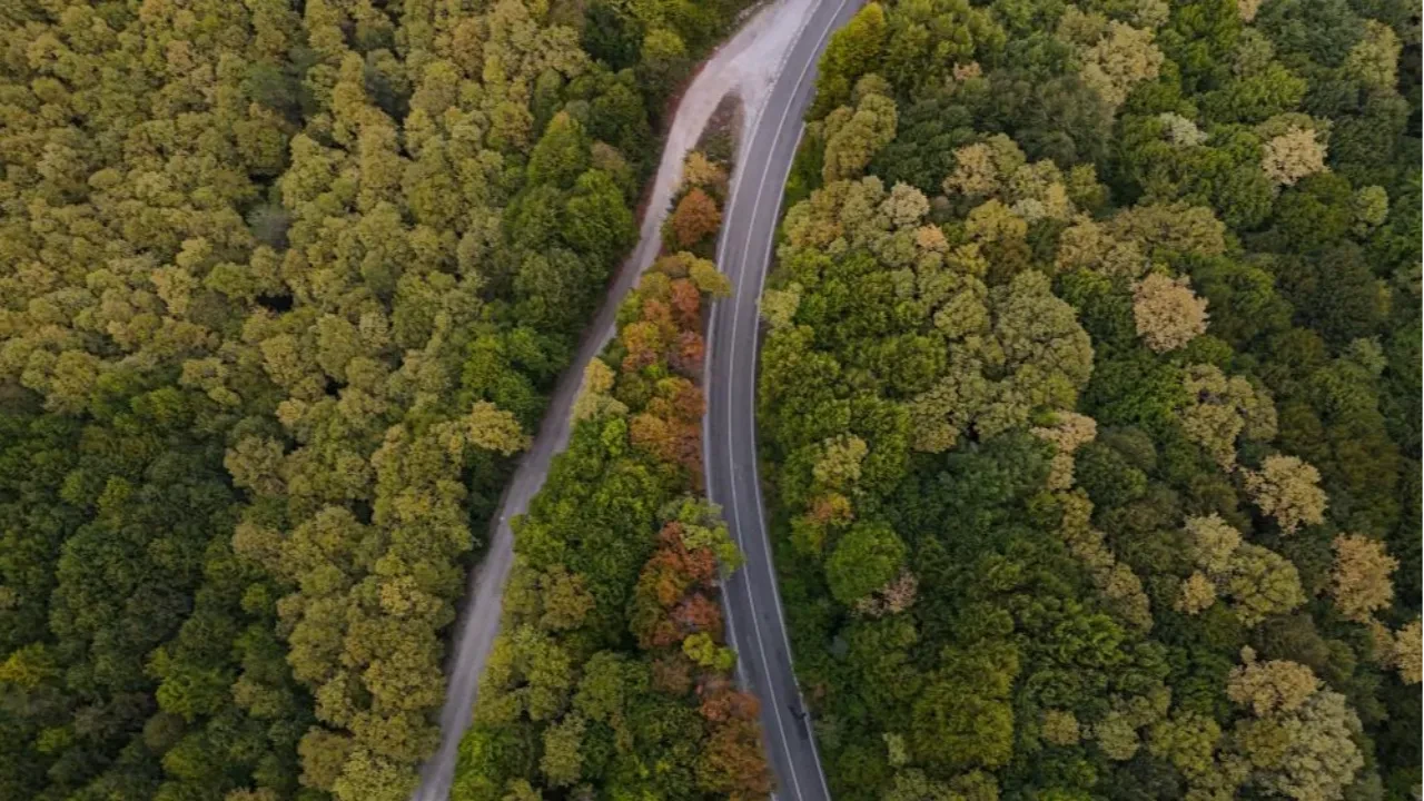 Bolu-Seben karayolu adeta bir sanat eserine dönüşt…