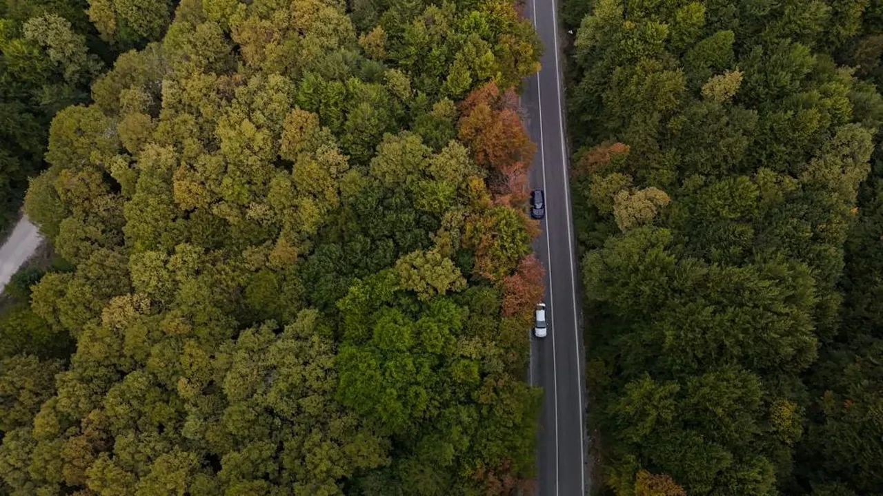 Bolu-Seben karayolu adeta bir sanat eserine dönüştü!