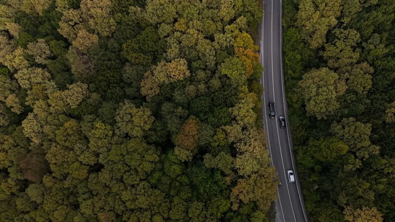 Bolu-Seben karayolu adeta bir sanat eserine dönüştü!