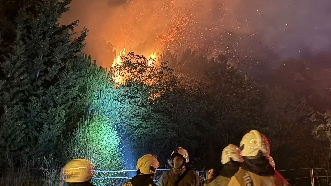 İstanbul'da orman yangını: Bir anda alevler yükseldi