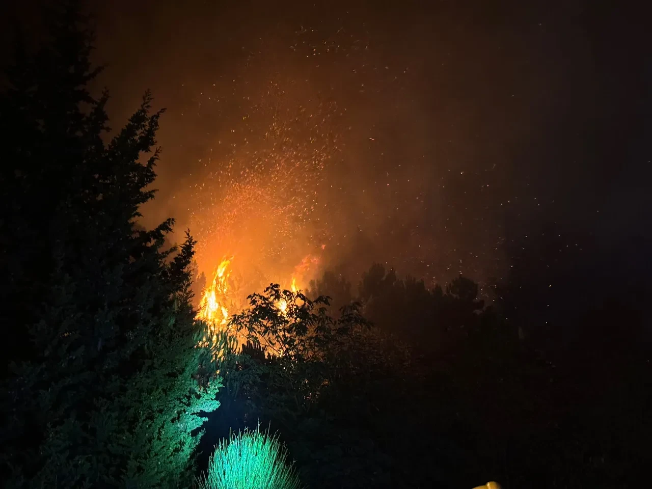 İstanbul'da orman yangını: Bir anda alevler yükseldi