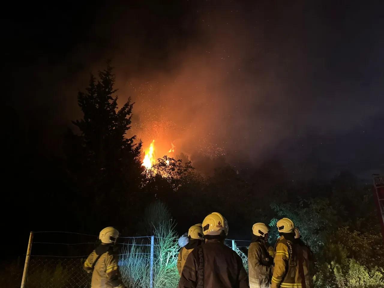 İstanbul'da orman yangını: Bir anda alevler yükseldi