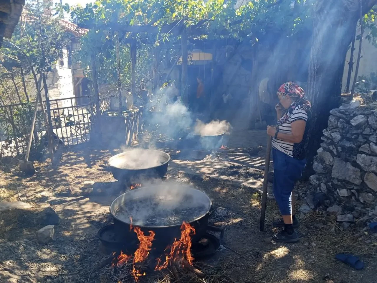 Kilosu tam 500 TL! Bir yıl önceden sıraya giriyorlar: Şifası saymakla bitmiyor