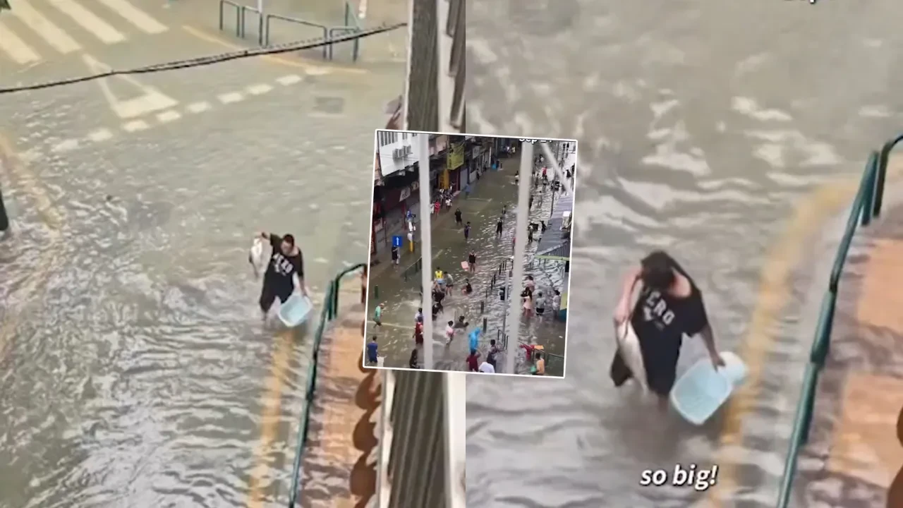 Sokakta elleriyle balık avladılar! İşte o anlar