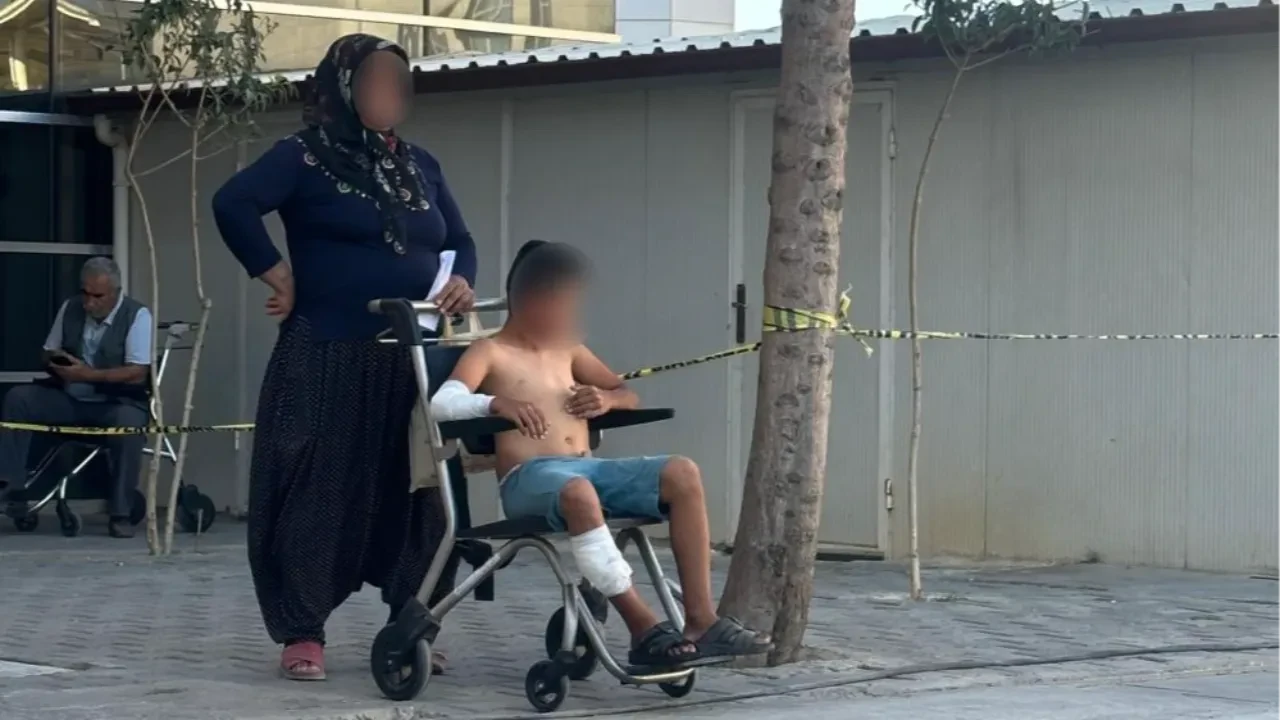 Başıboş köpek dehşeti bitmiyor! Son durak Adıyaman