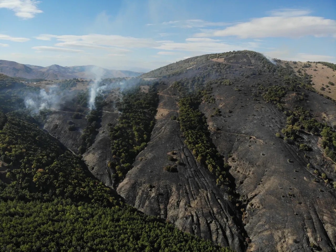 Gümüşhane'de acı tablo: Orman yangınında 30 hektar alan küle döndü