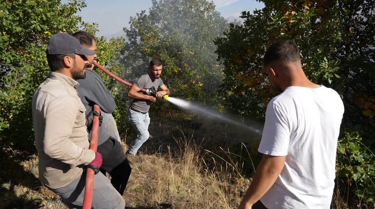 Gümüşhane'de acı tablo: Orman yangınında 30 hektar alan küle döndü