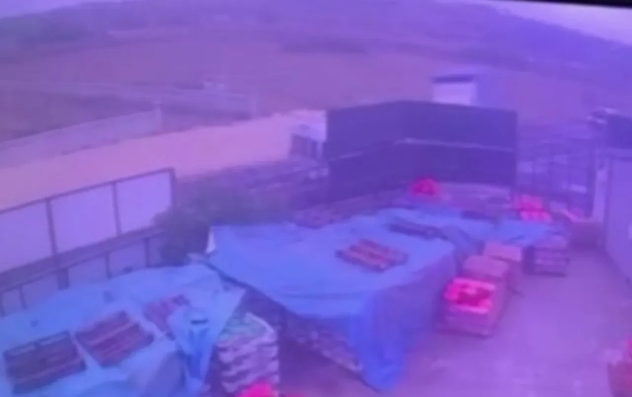 İşçi servisi ve kamyon kafa kafaya çarpıştı! Çok sayıda ölü ve yaralı var