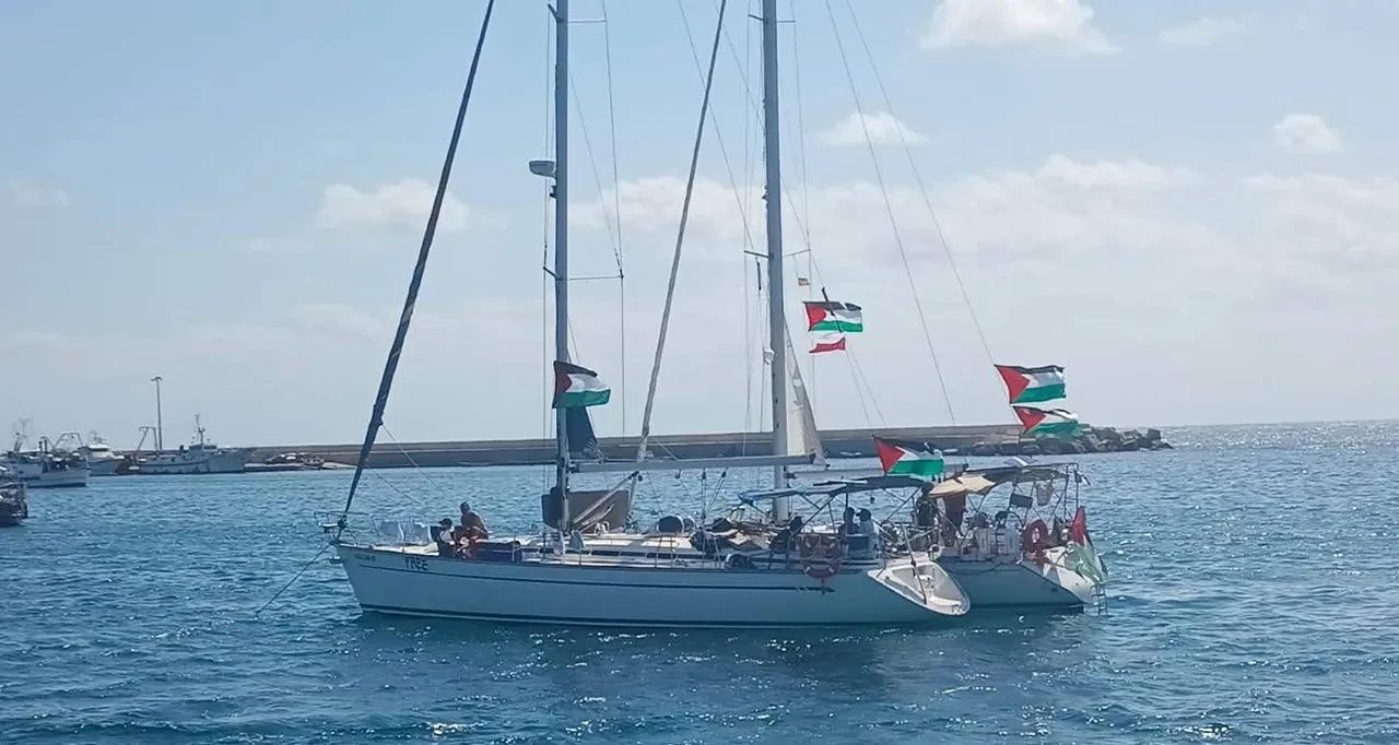 Küresel Sumud filosuna dair her şey!