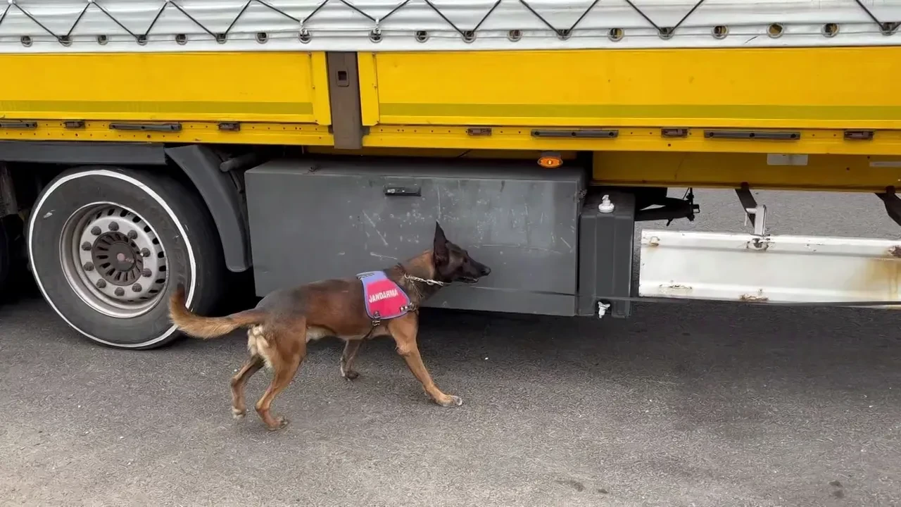 Nefes kesen kıyılmış tütün operasyonu! Piyasa değeri dudak uçuklattı