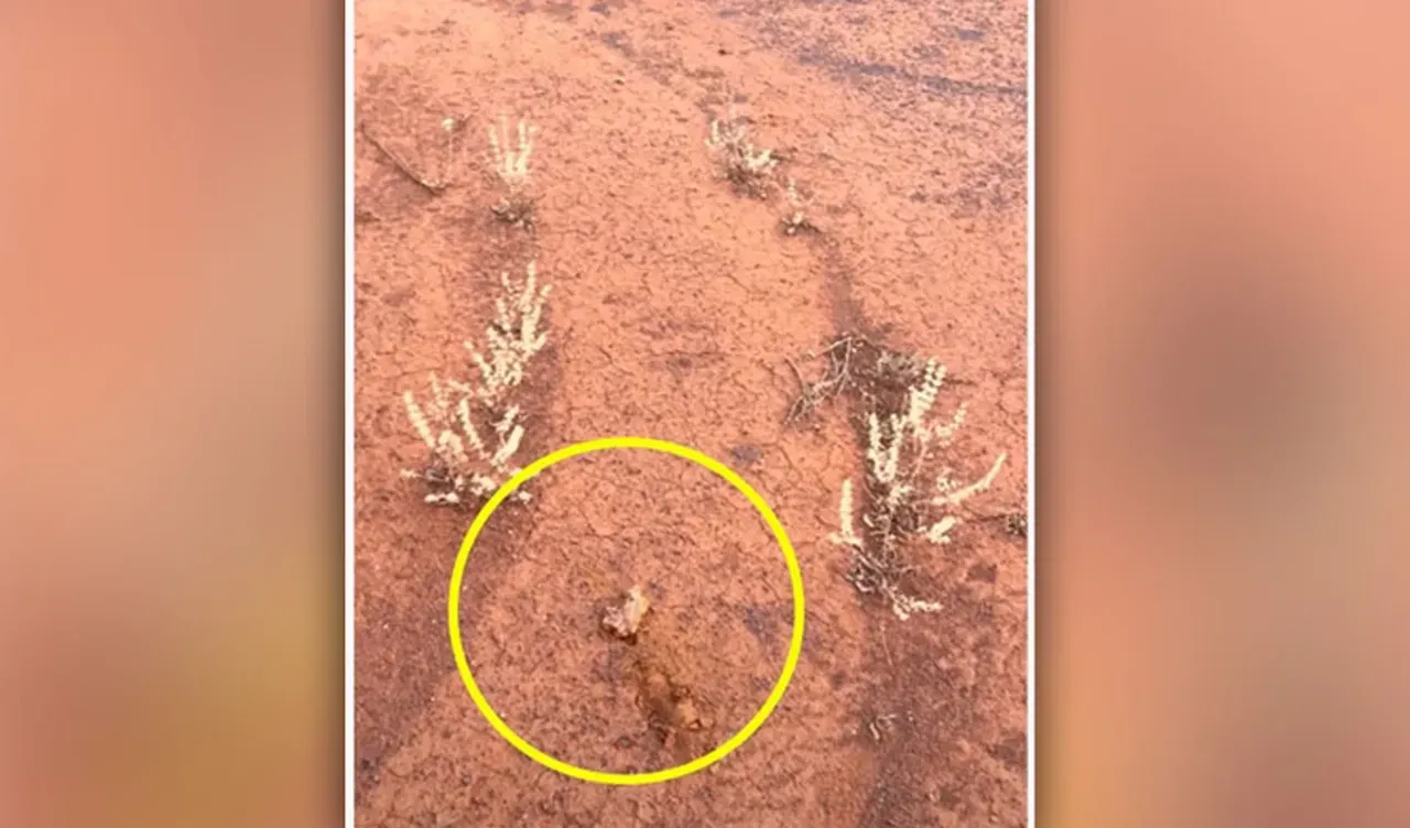 Altının en çok çıktığı yerleri sıraladı! Küreği her vurduğunda zengin oluyor