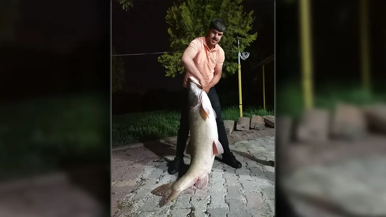Elazığ'da baba-oğulun yakaladığı balık şoke etti! Canavar gibi